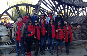 Trabajadores de alucoworld